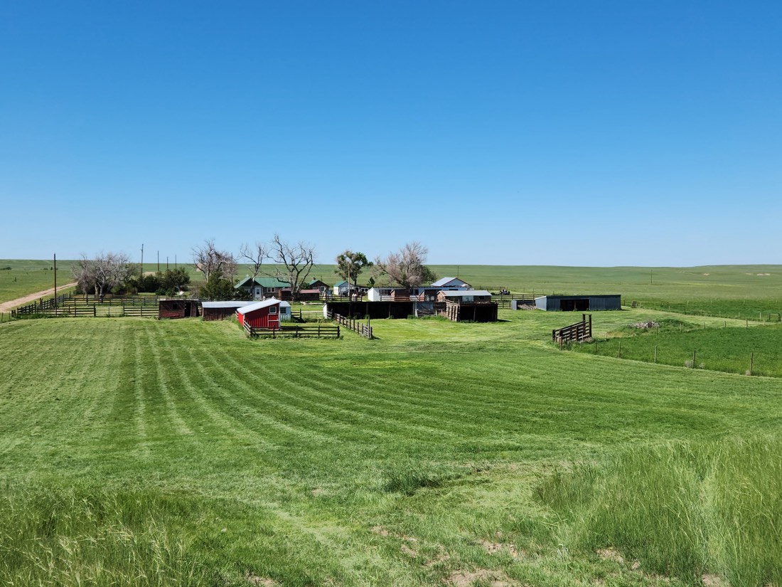 The family ranch south of Cheyenne: outbuildings and corrals on open Wyoming grassland.